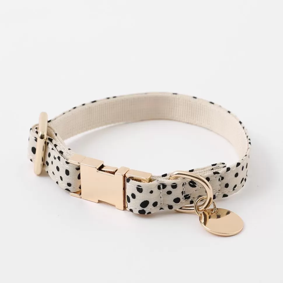 Collar / Lead / Harness*MonCheri Animal Pattern Color + Read Set