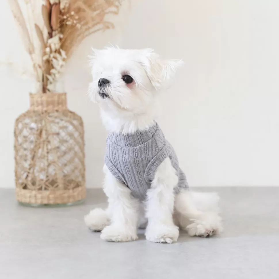 Tops*MonCheri Button Rib Knit Color Tops