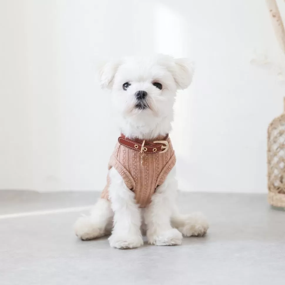 Tops*MonCheri Button Rib Knit Color Tops