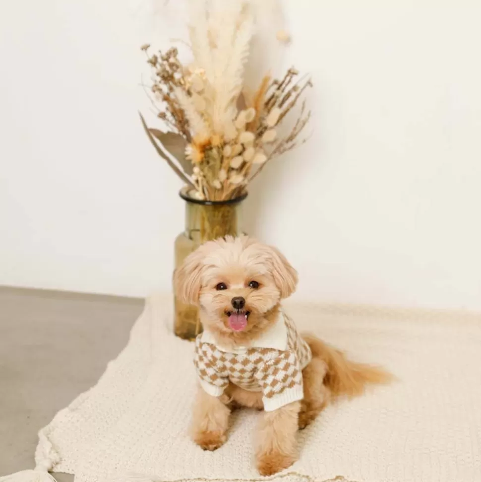 Tops*MonCheri Check Pattern Knit Polo Shirt With Collar