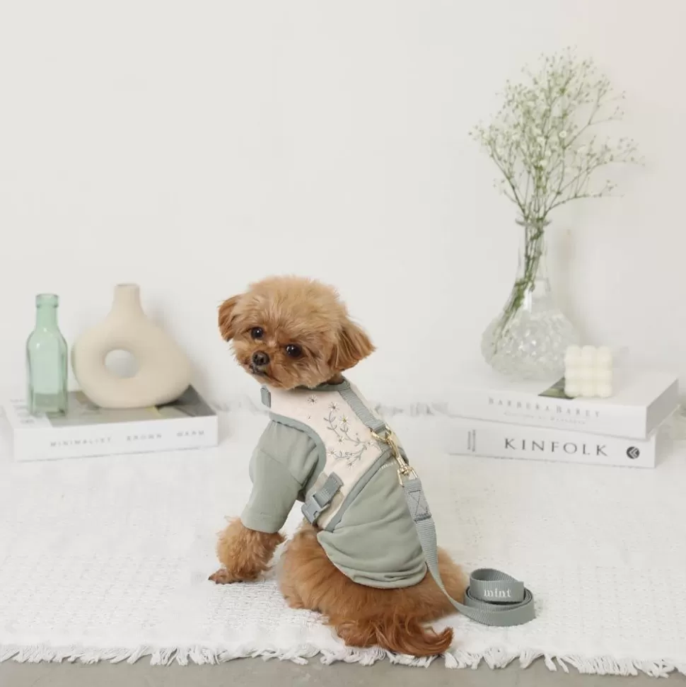 Collar / Lead / Harness*MonCheri Cold Margaret Pattern Harness+Reed Set Green