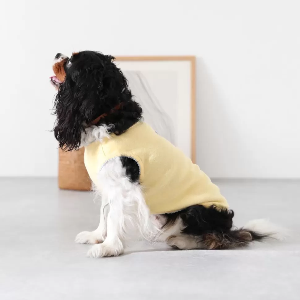 Tops*MonCheri Color Scheme Race Ribbon Tops Yellow
