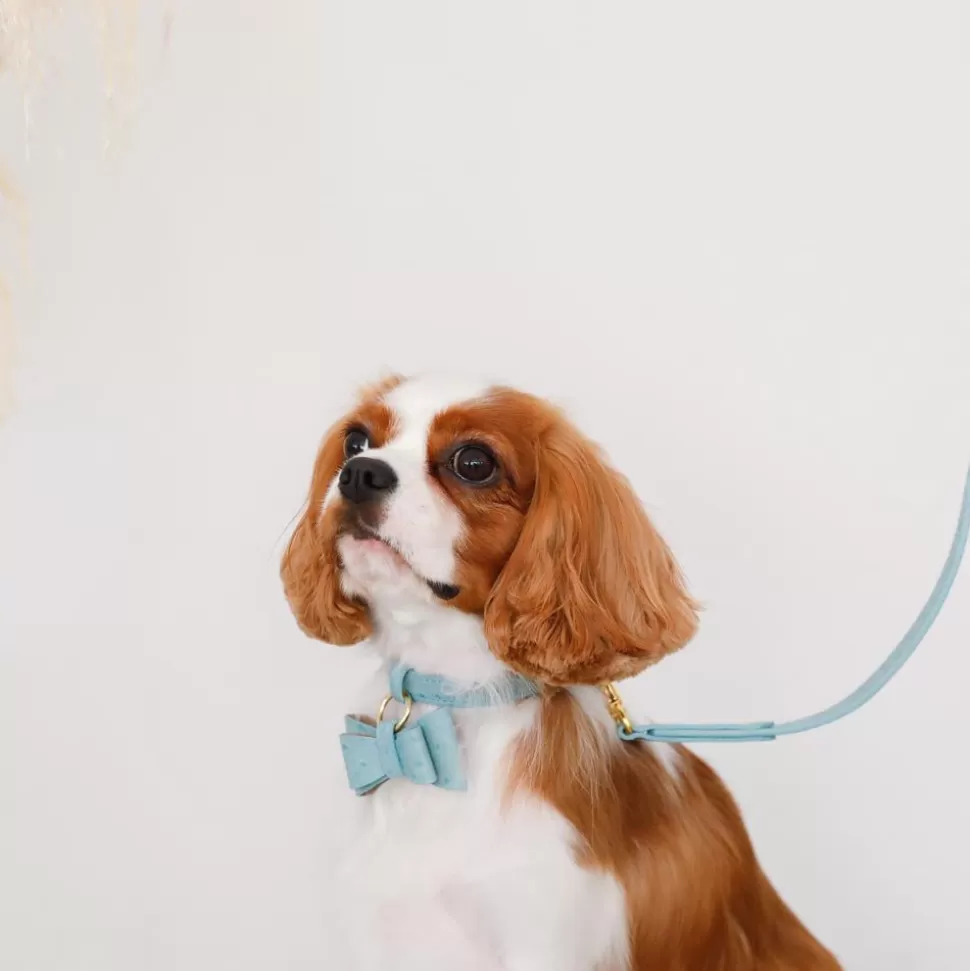 Collar / Lead / Harness*MonCheri Ost Leather Ribbon Pendant Color