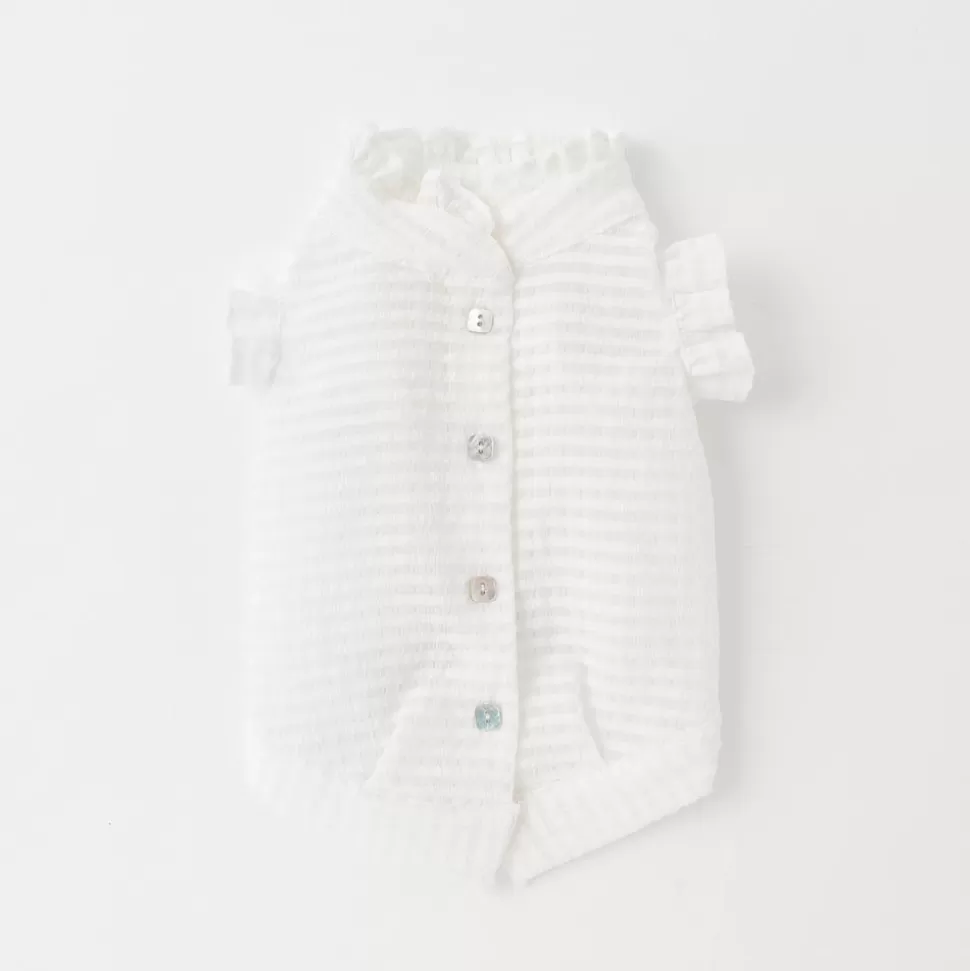 Tops*MonCheri Sea Check Table Frill Color Shirt With Scallined