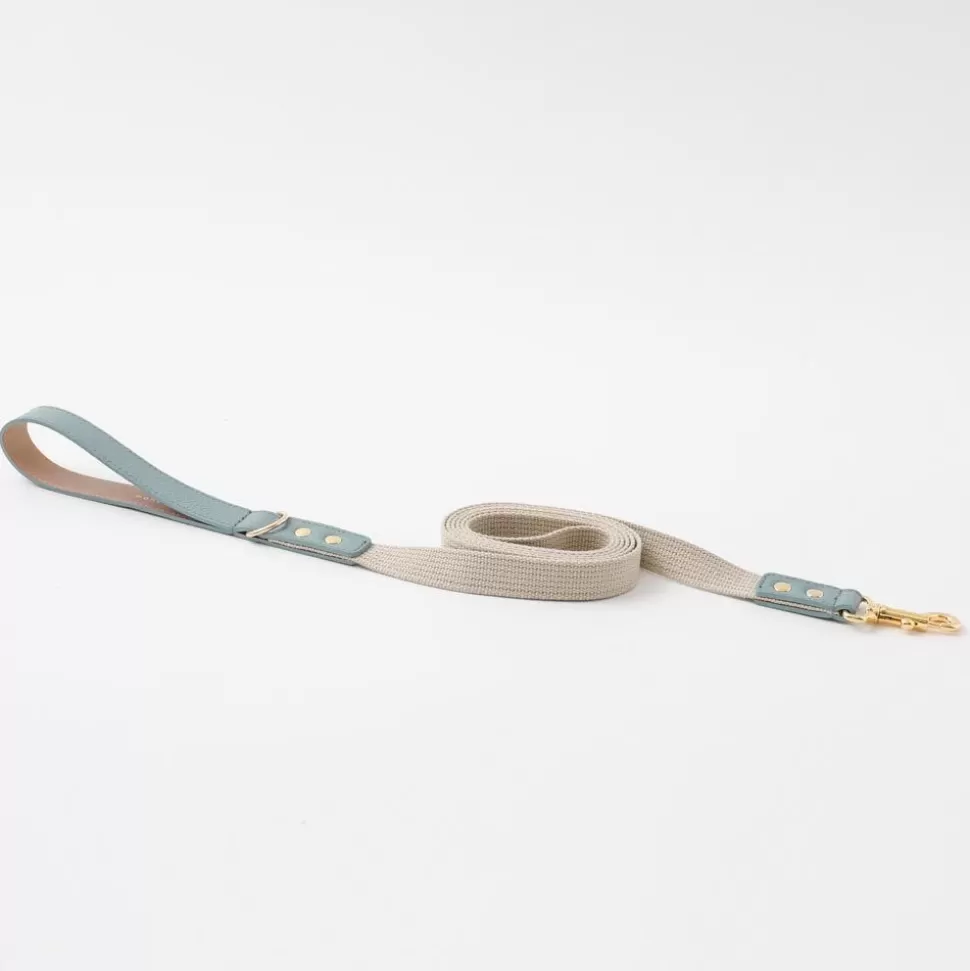 Collar / Lead / Harness*MonCheri Shrink Leather Cotton Licer